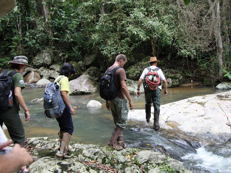 4 persons in the Atlantic rainforest